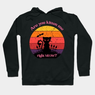 Are you kitten me right meow? Hoodie